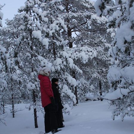 Studio Kaarto Rovaniemi Ngoại thất bức ảnh