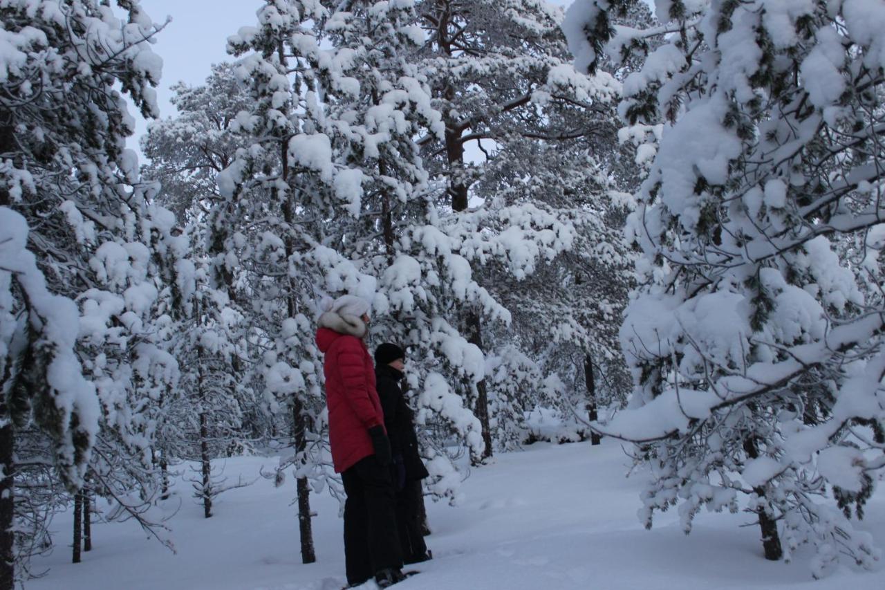 Studio Kaarto Rovaniemi Ngoại thất bức ảnh